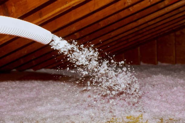  Longboat Key, FL Insulation Contractor Pros