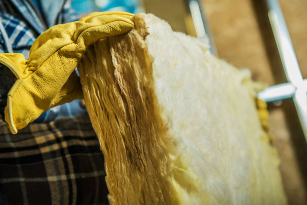 Best Specialty Insulation in Longboat Key, FL