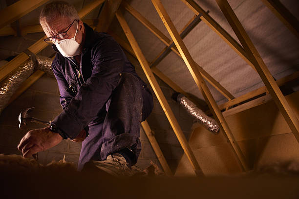 Best Residential Insulation in Longboat Key, FL